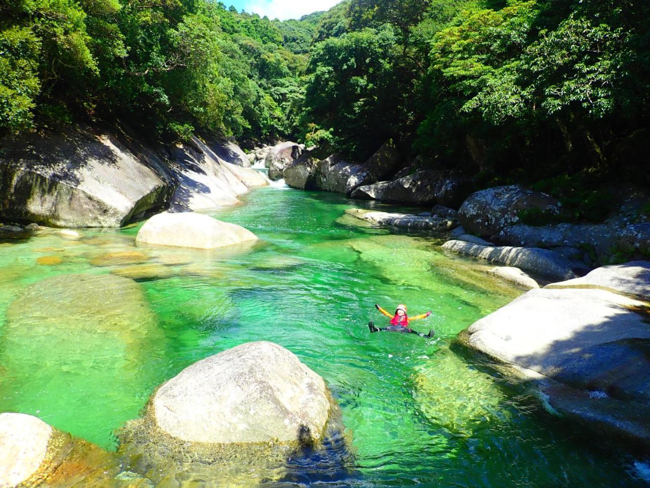 Yakushima Cottage Morino Fairy Eksteriør billede