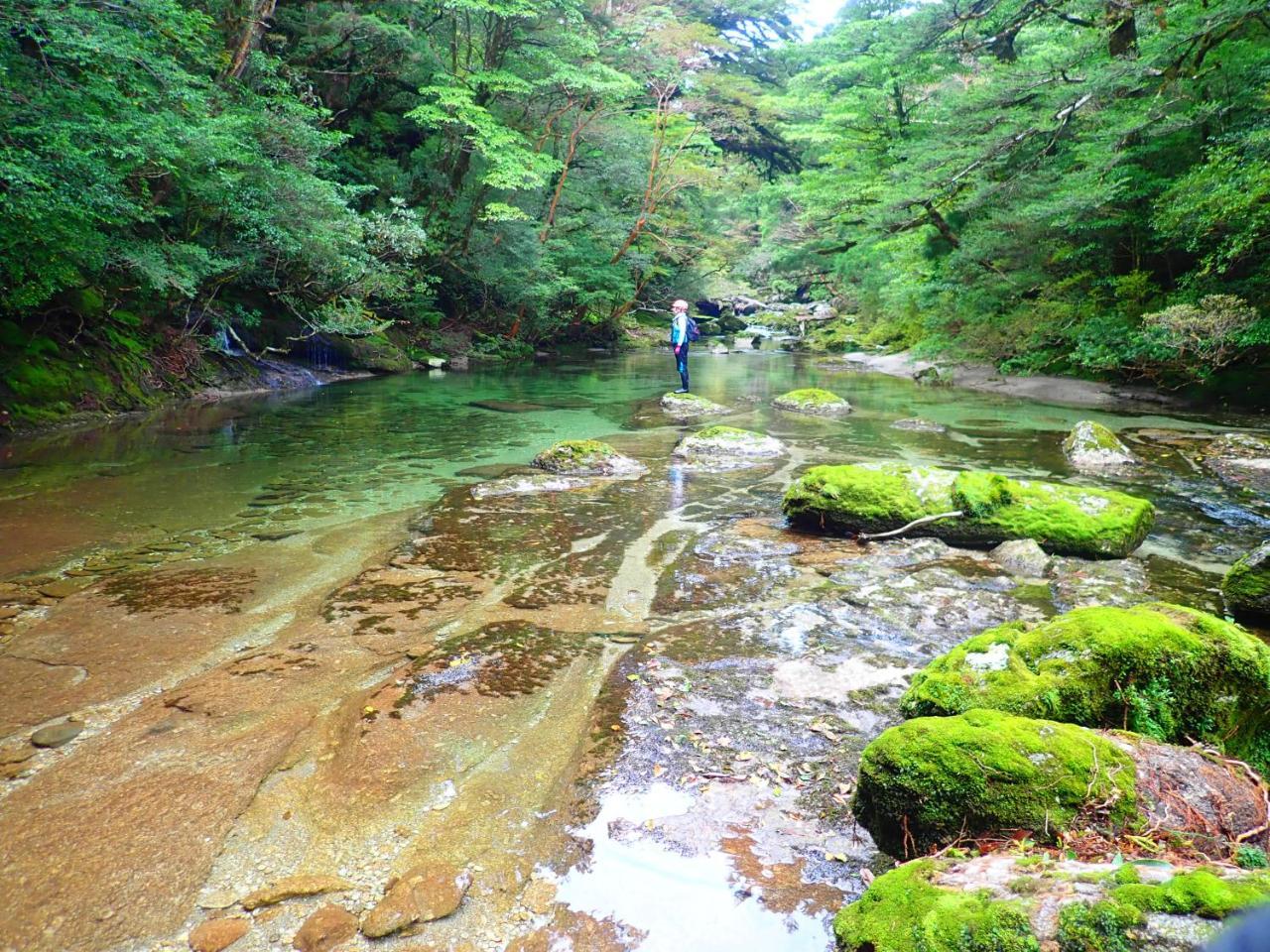 Yakushima Cottage Morino Fairy Eksteriør billede