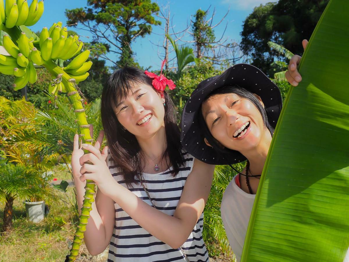 Yakushima Cottage Morino Fairy Eksteriør billede